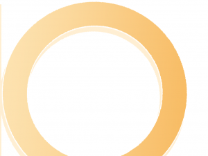 今日达航空货运2024回顾与2025展望