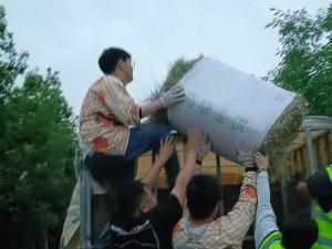 【成都麓客岛——动物专车运输】