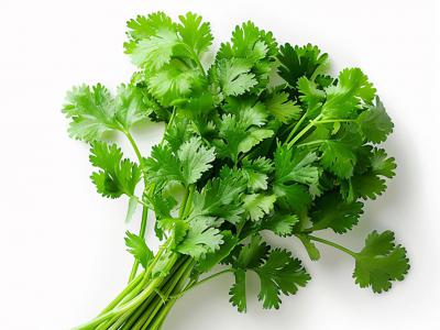 易腐农产品--两吨香菜